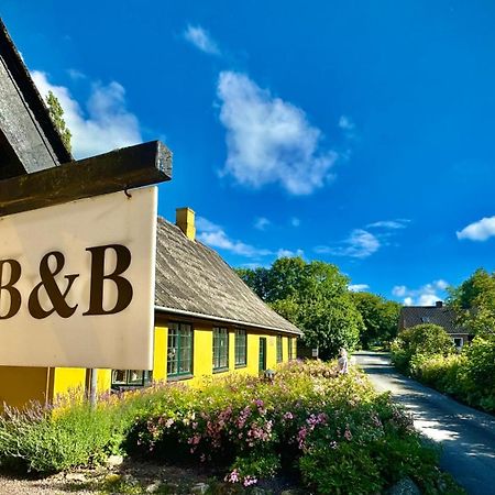戴尔乐夫住宿加早餐酒店 Præstø 外观 照片