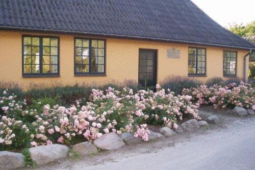 戴尔乐夫住宿加早餐酒店 Præstø 外观 照片