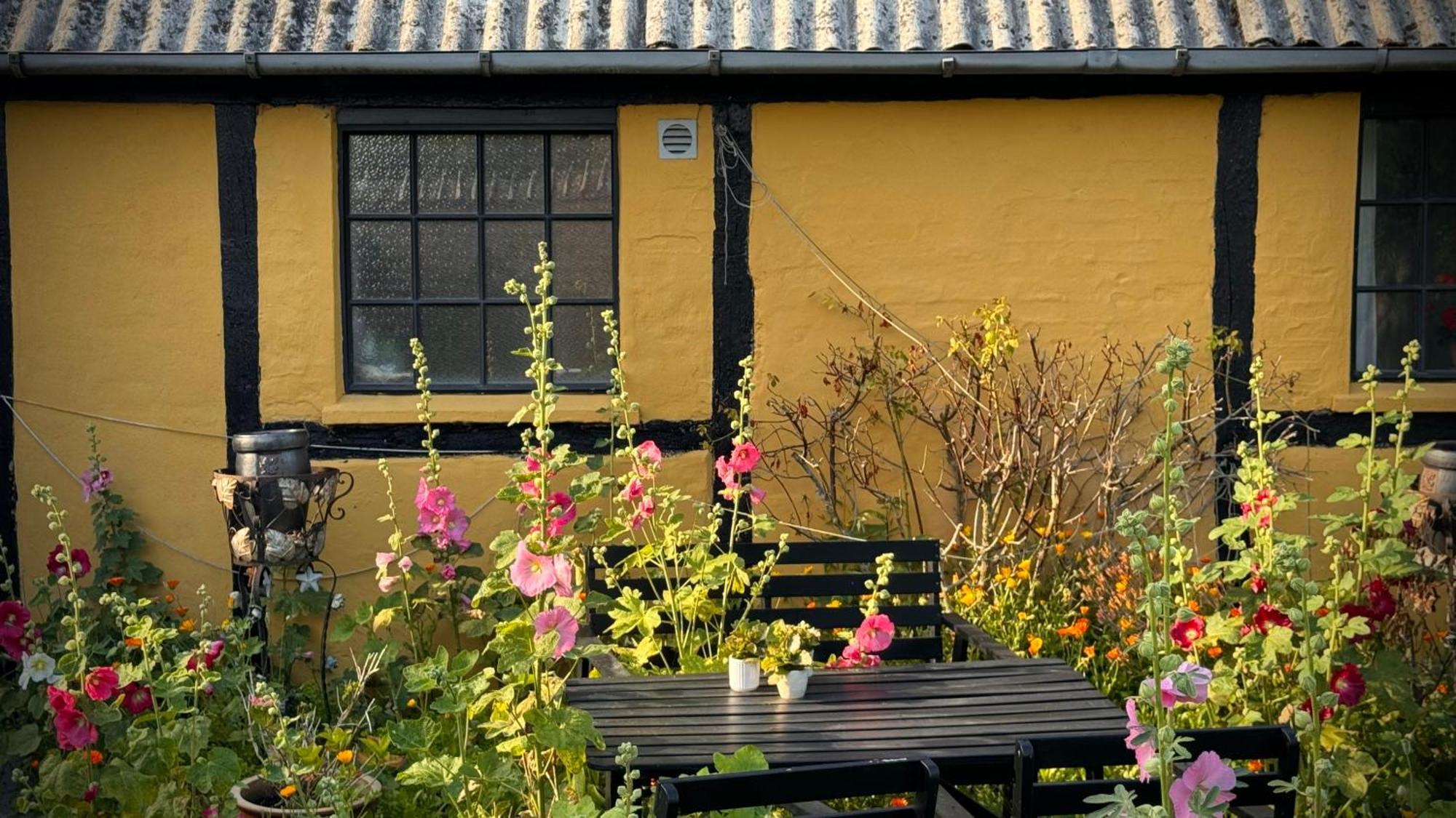 戴尔乐夫住宿加早餐酒店 Præstø 外观 照片