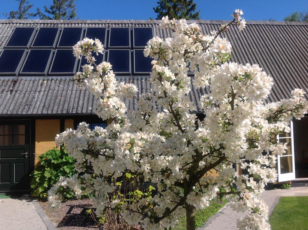 戴尔乐夫住宿加早餐酒店 Præstø 外观 照片